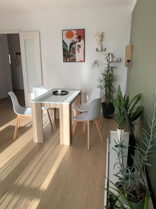 Appartement Le 48 Narbonne Dış mekan fotoğraf